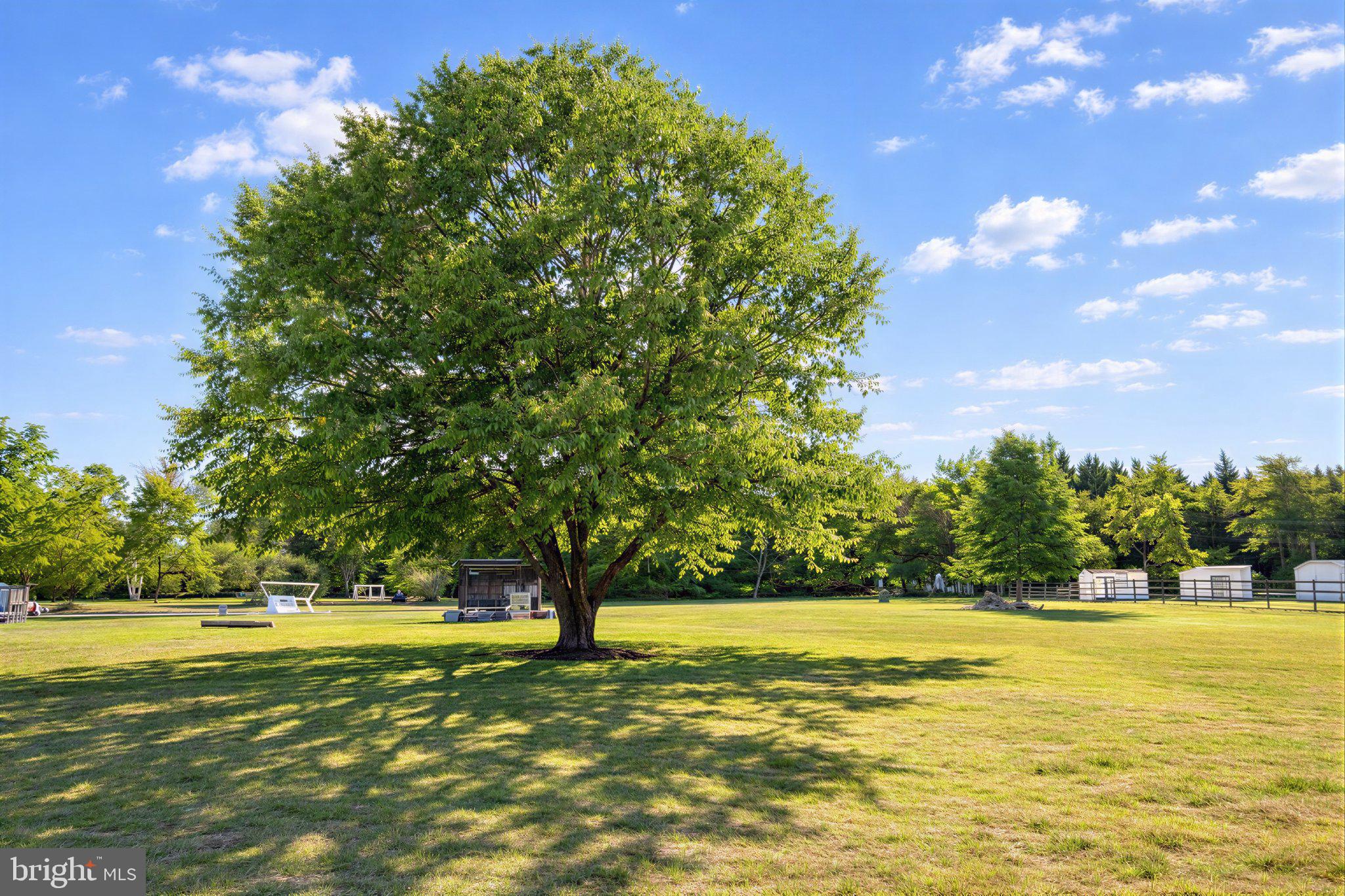 6191 Hallowing Point Road Prince Frederick, MD 20678 - Photo 18 of 73 Spacious green oasis under blue skies.