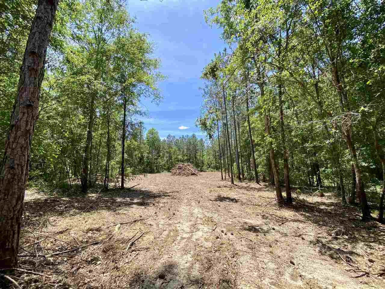 0 Tulip Road, Unit TRACT 10 Rebecca, GA 31079 - Photo 1 of 1 Gallery Image 1