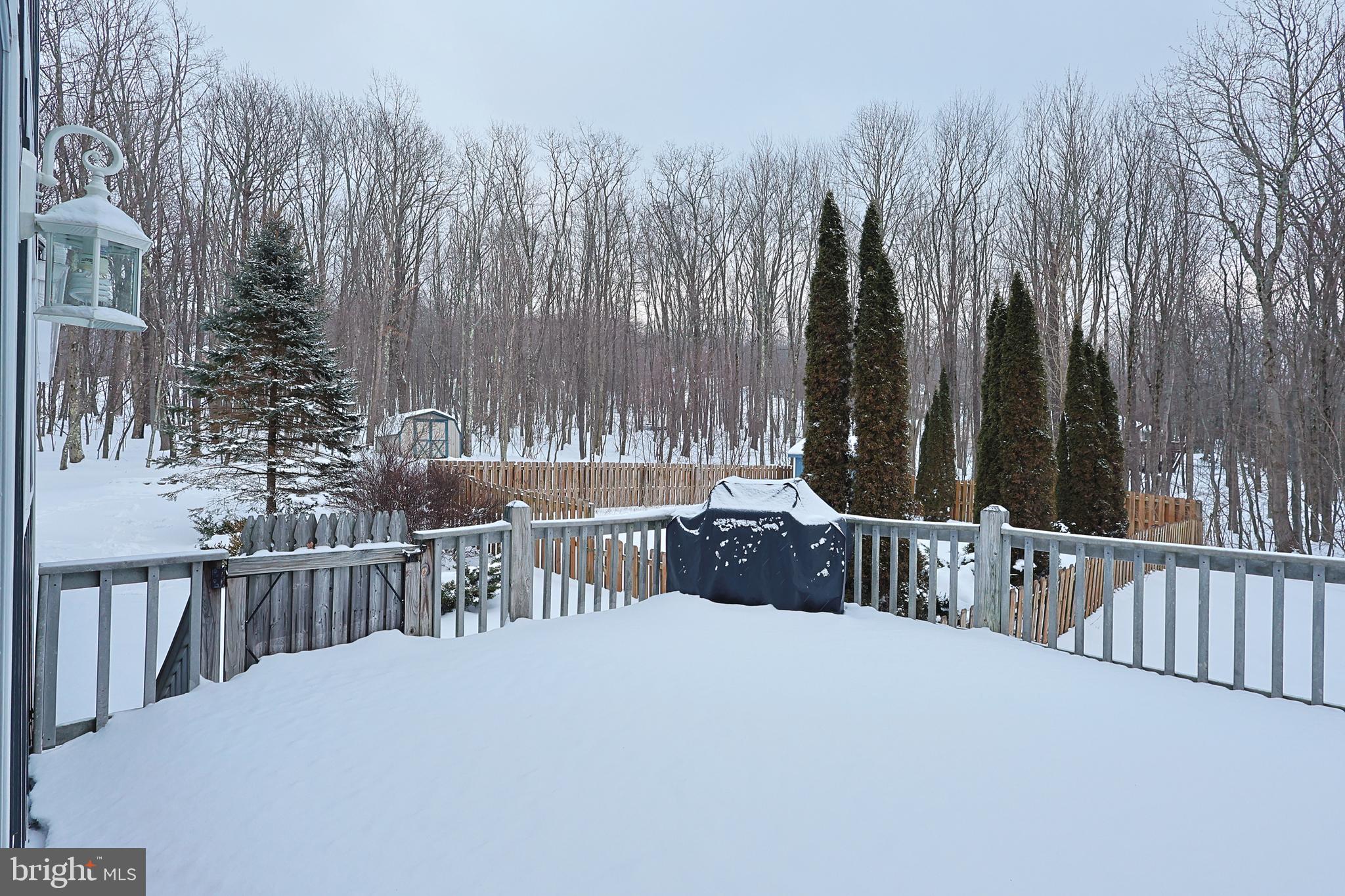 33 Teaberry Ridge Road Lonaconing, MD 21539 - Photo 68 of 101 Beautiful Views!