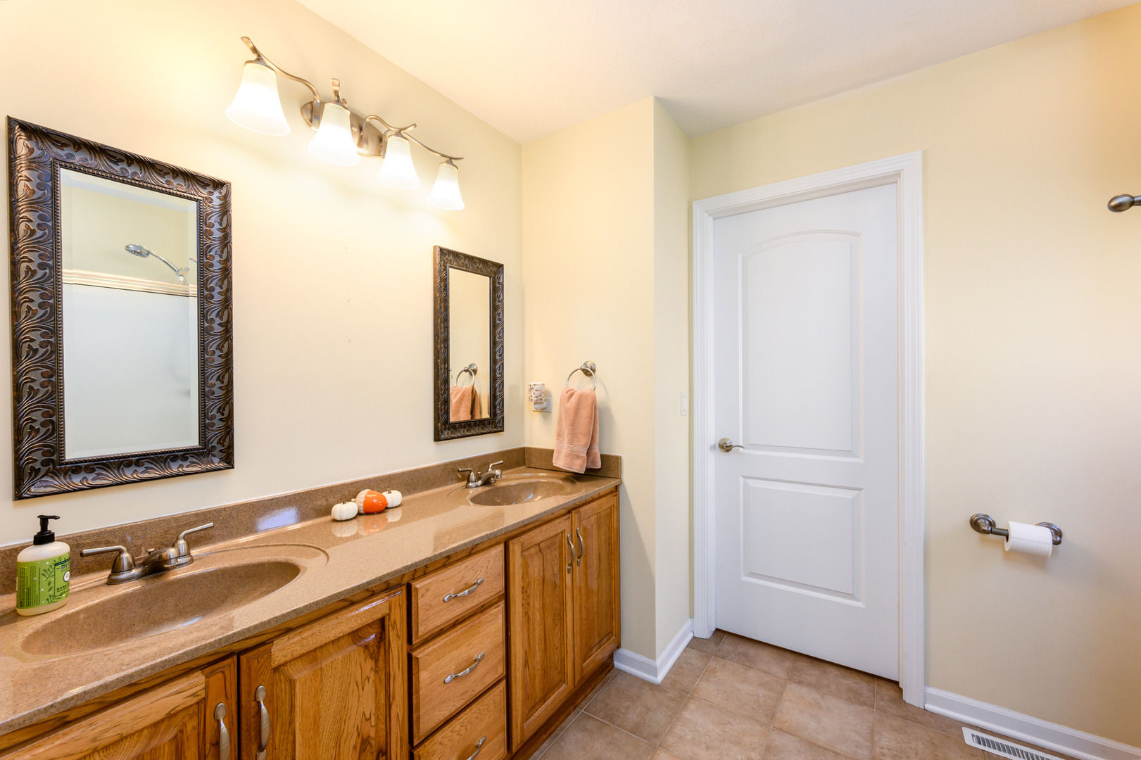 592 South Walnut Street Manteno, IL 60950 - Photo 18 of 37 a bathroom with a double vanity sink and mirror