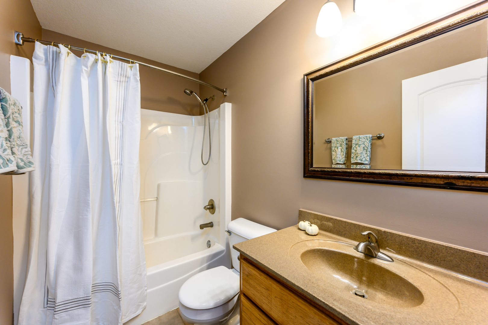 592 South Walnut Street Manteno, IL 60950 - Photo 21 of 37 a bathroom with a sink toilet a mirror and shower