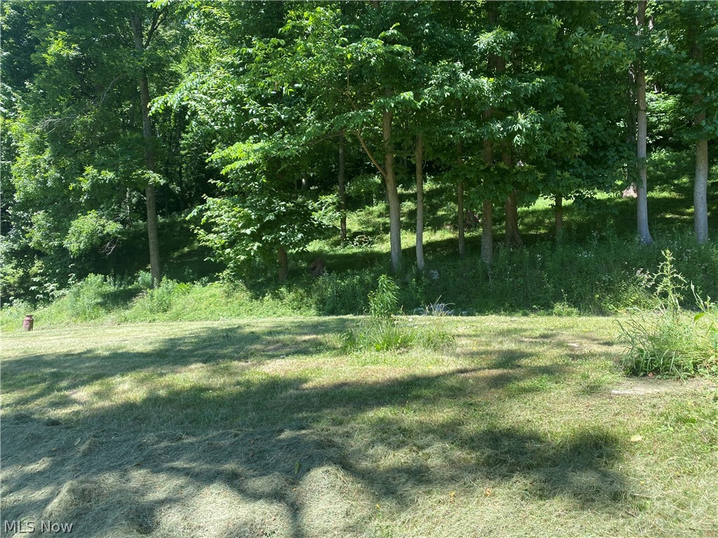 68585 Hopewell Road Cambridge, OH 43725 - Photo 4 of 6 Gallery Image 4