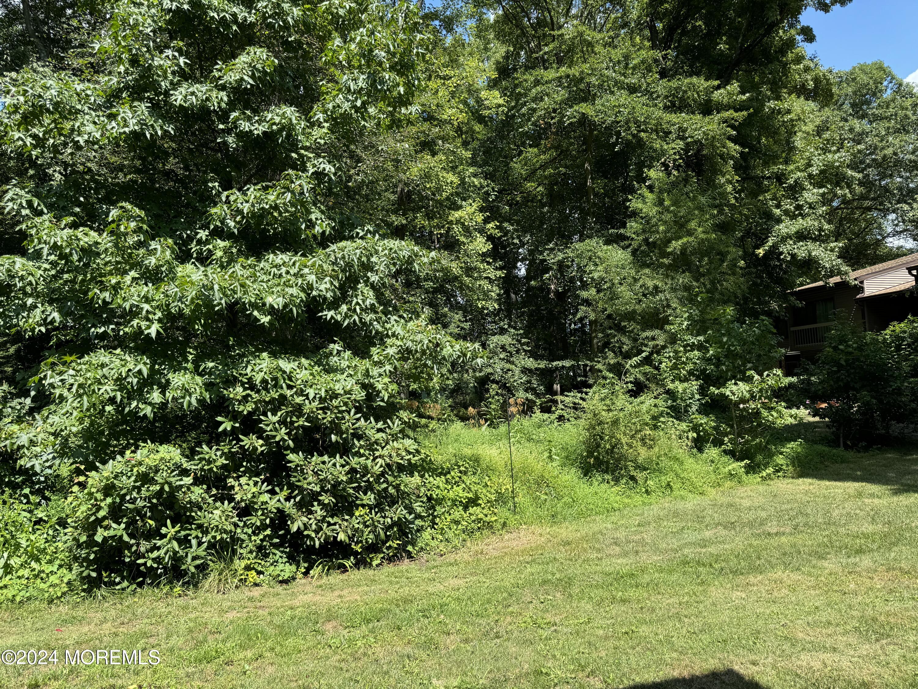95 Lexington Court Red Bank, NJ 07701 - Photo 22 of 26 a view of a garden with plants