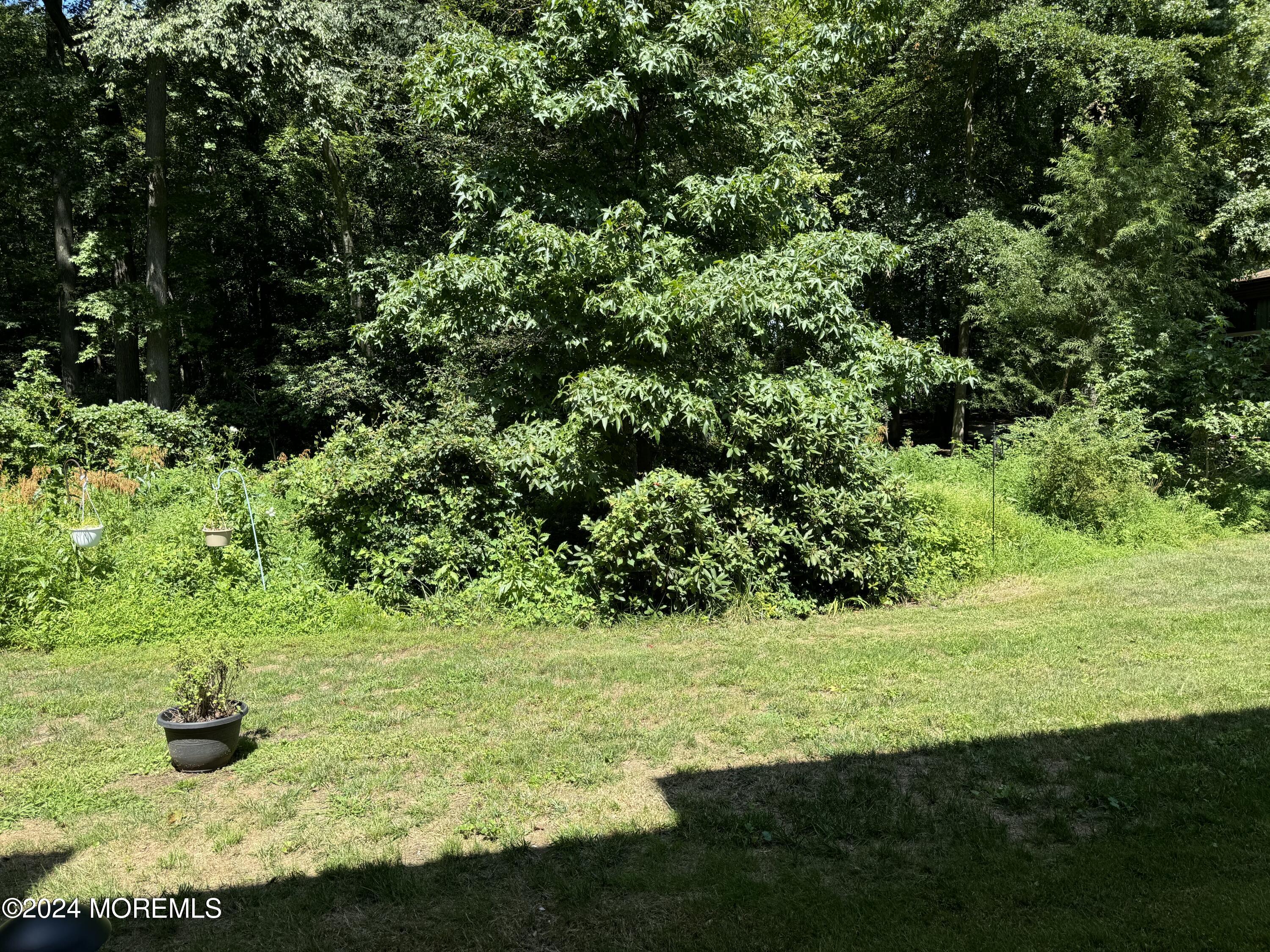 95 Lexington Court Red Bank, NJ 07701 - Photo 24 of 26 a view of a garden with an outdoor space