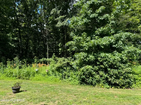 a garden with lots of trees