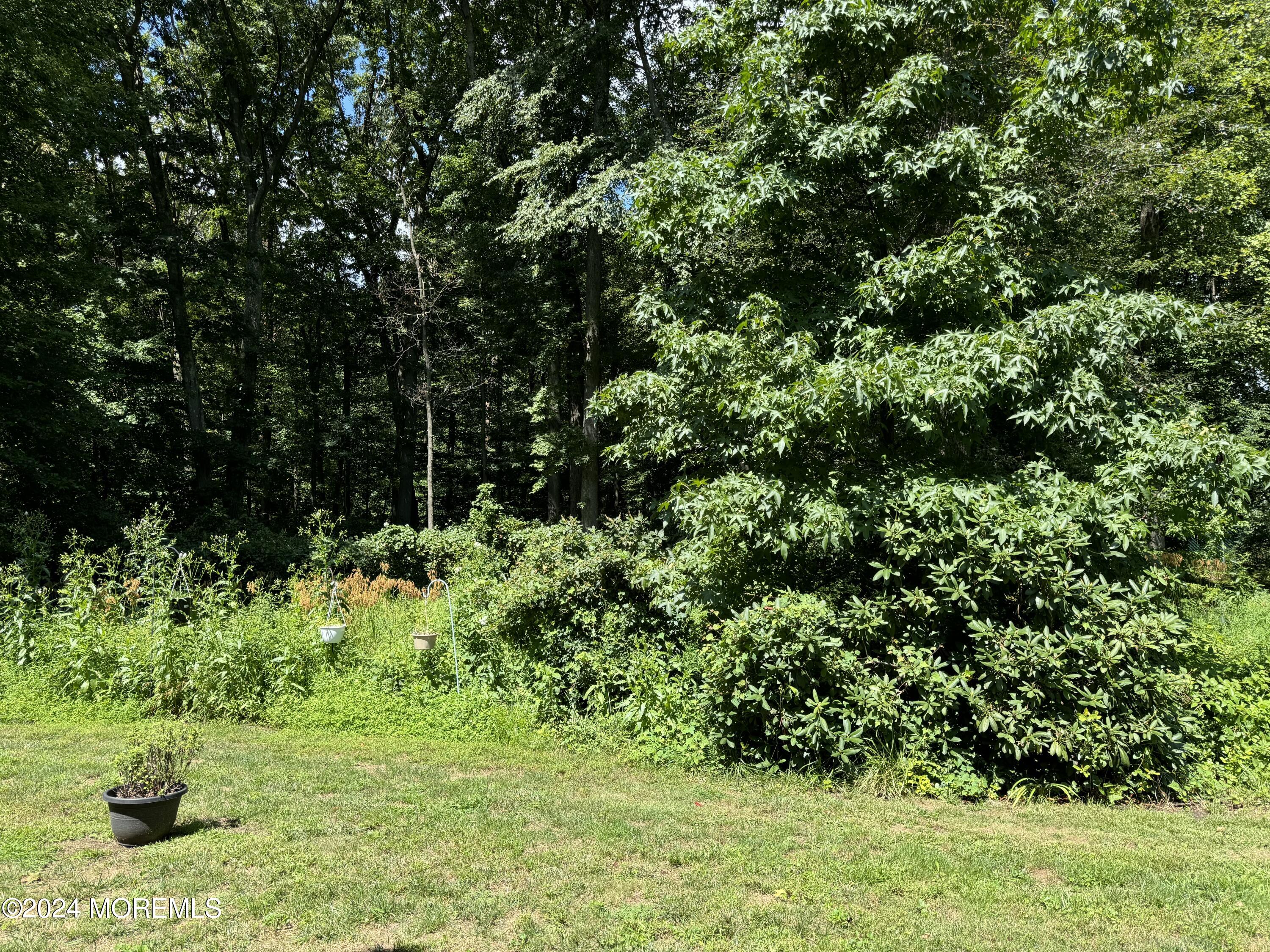 95 Lexington Court Red Bank, NJ 07701 - Photo 7 of 26 a garden with lots of trees