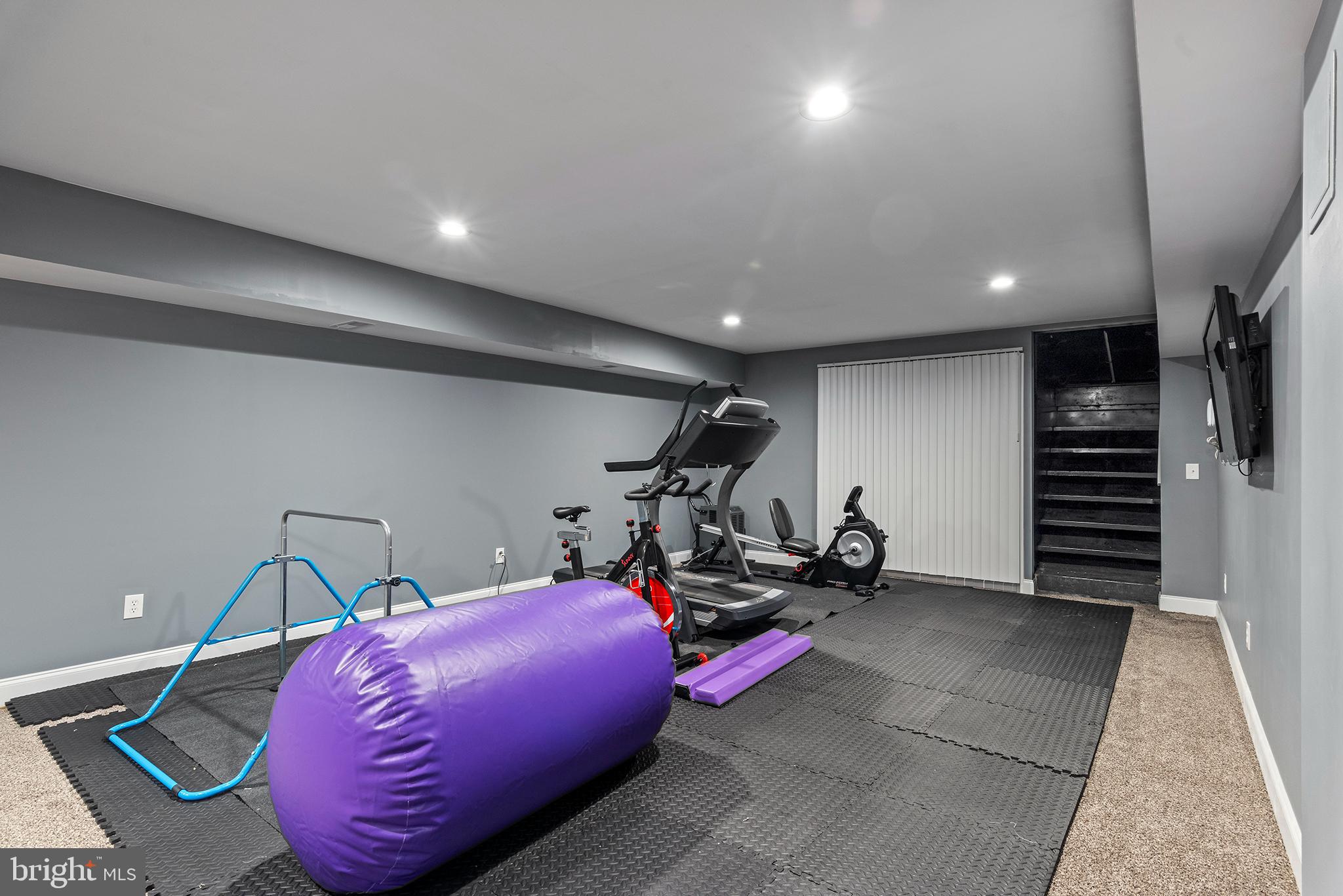 16 Wood Chip Road Elkton, MD 21921 - Photo 58 of 69 Basement Workout Area