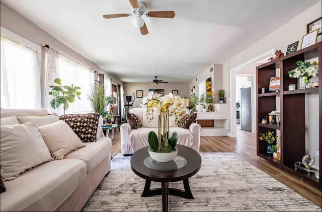 a living room with furniture and a potted plant