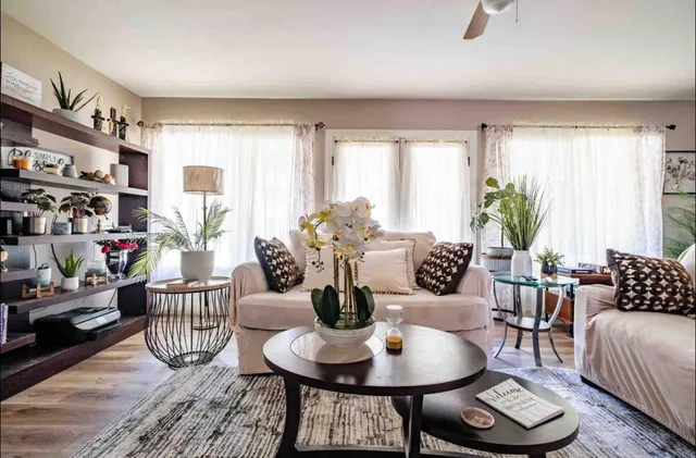 a living room with furniture and a potted plant