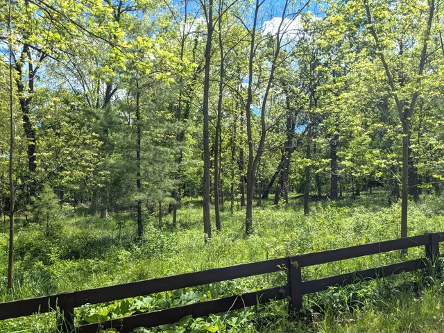 an aerial view of a house with a yard and lake view
