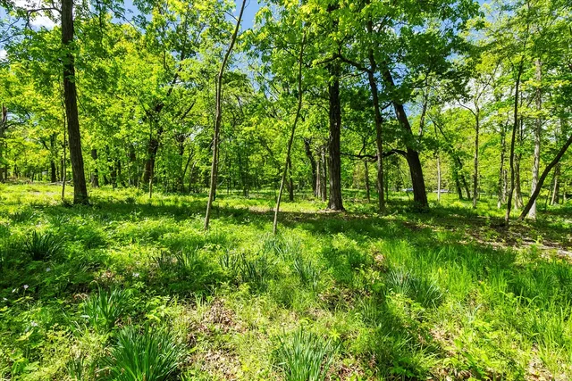 a view of outdoor space and trees