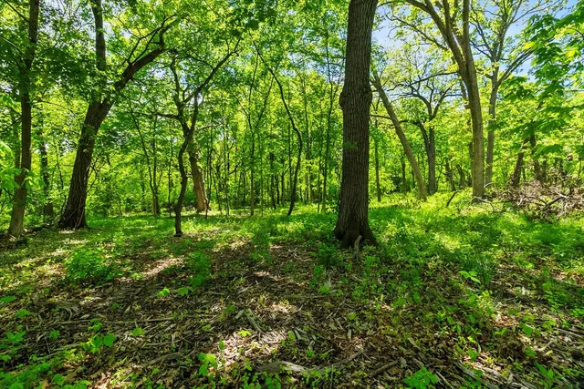 a backyard of a house with lots of green space