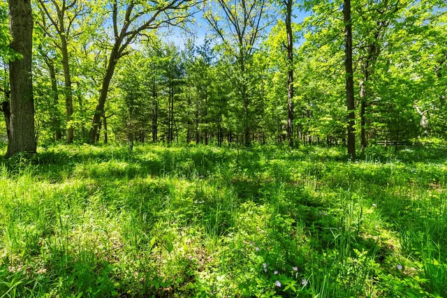 an aerial view of residential houses with outdoor space and trees