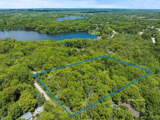 a view of a garden with a lake