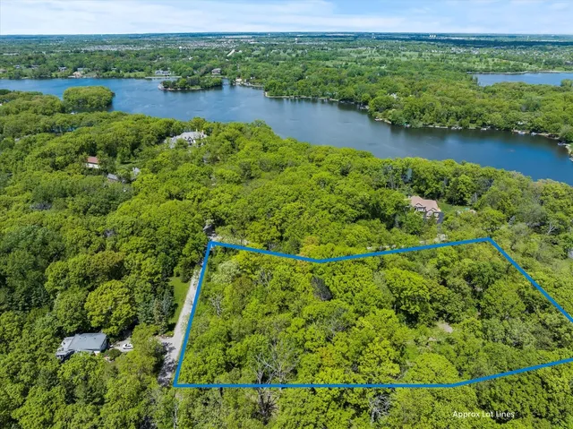 a view of a lush green forest