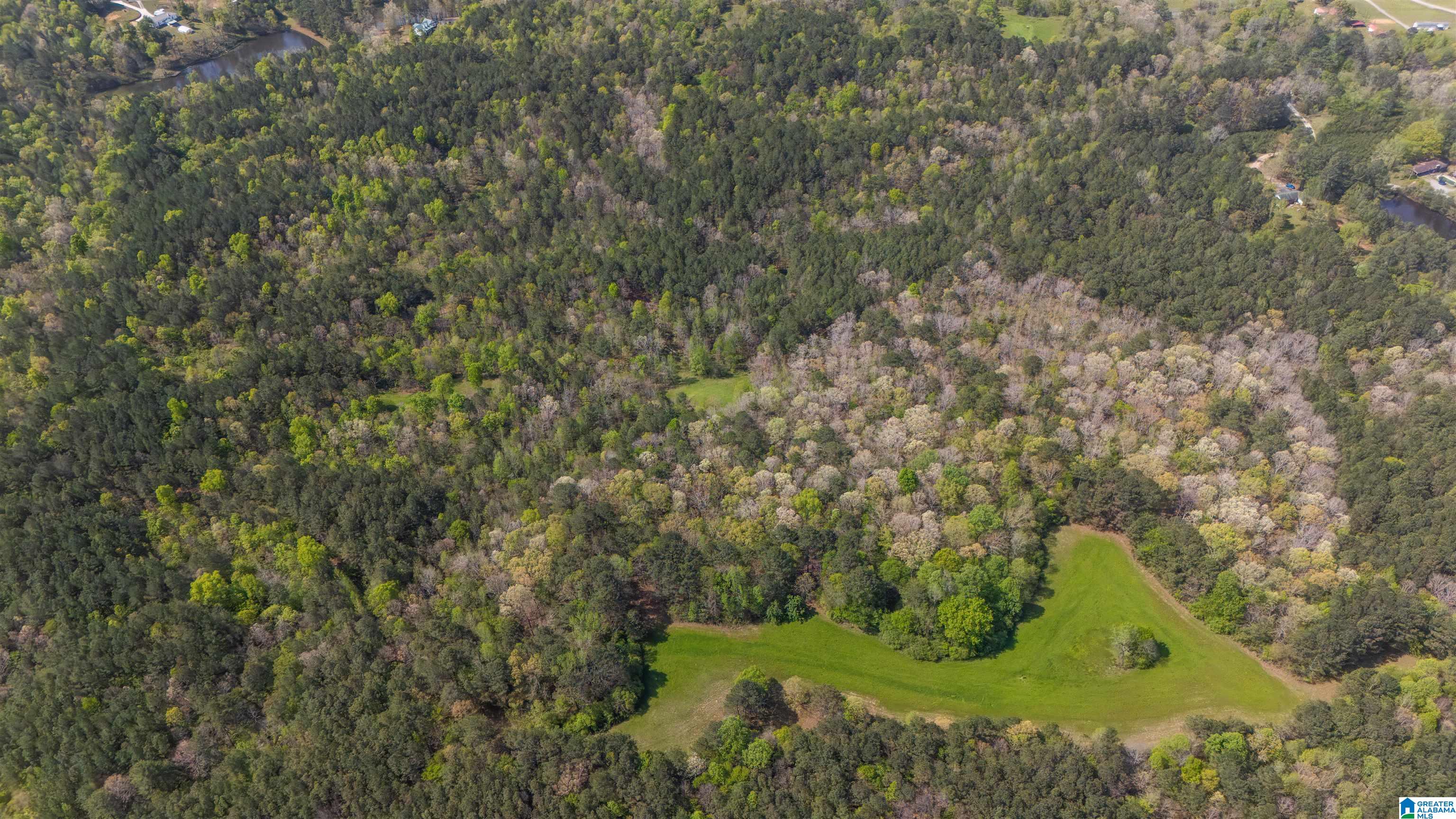 2121 Center Hill Road Trafford, AL 35172 - Photo 36 of 100