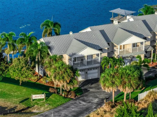 a aerial view of a house with a yard and potted plants