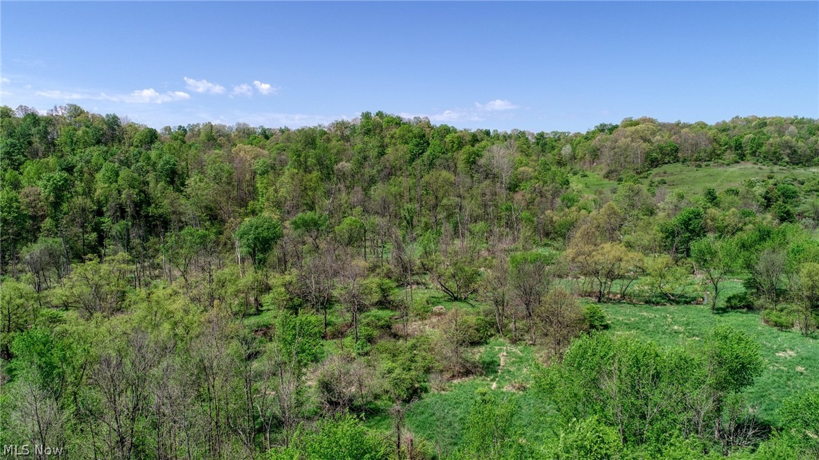 6820 Crane Run Road Cumberland, OH 43732 - Photo 2 of 17