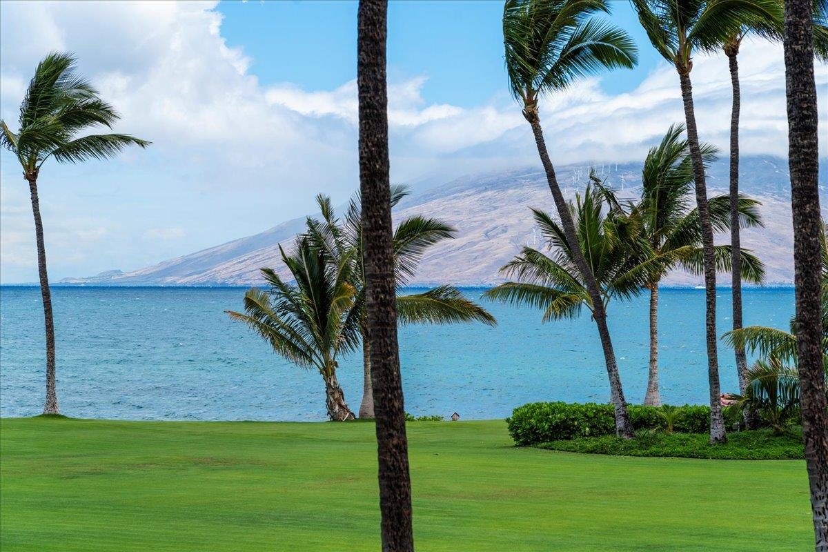 2936 South Kihei Road, Unit 213 Kihei, HI 96753 - Photo 4 of 50