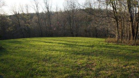 4181 Tarsus Road Palmyra, TN 37142 - Photo 5 of 16 Gallery Image 5