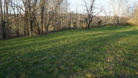 4181 Tarsus Road Palmyra, TN 37142 - Photo 9 of 16 Gallery Image 9