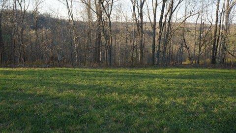 4181 Tarsus Road Palmyra, TN 37142 - Photo 10 of 16 Gallery Image 10