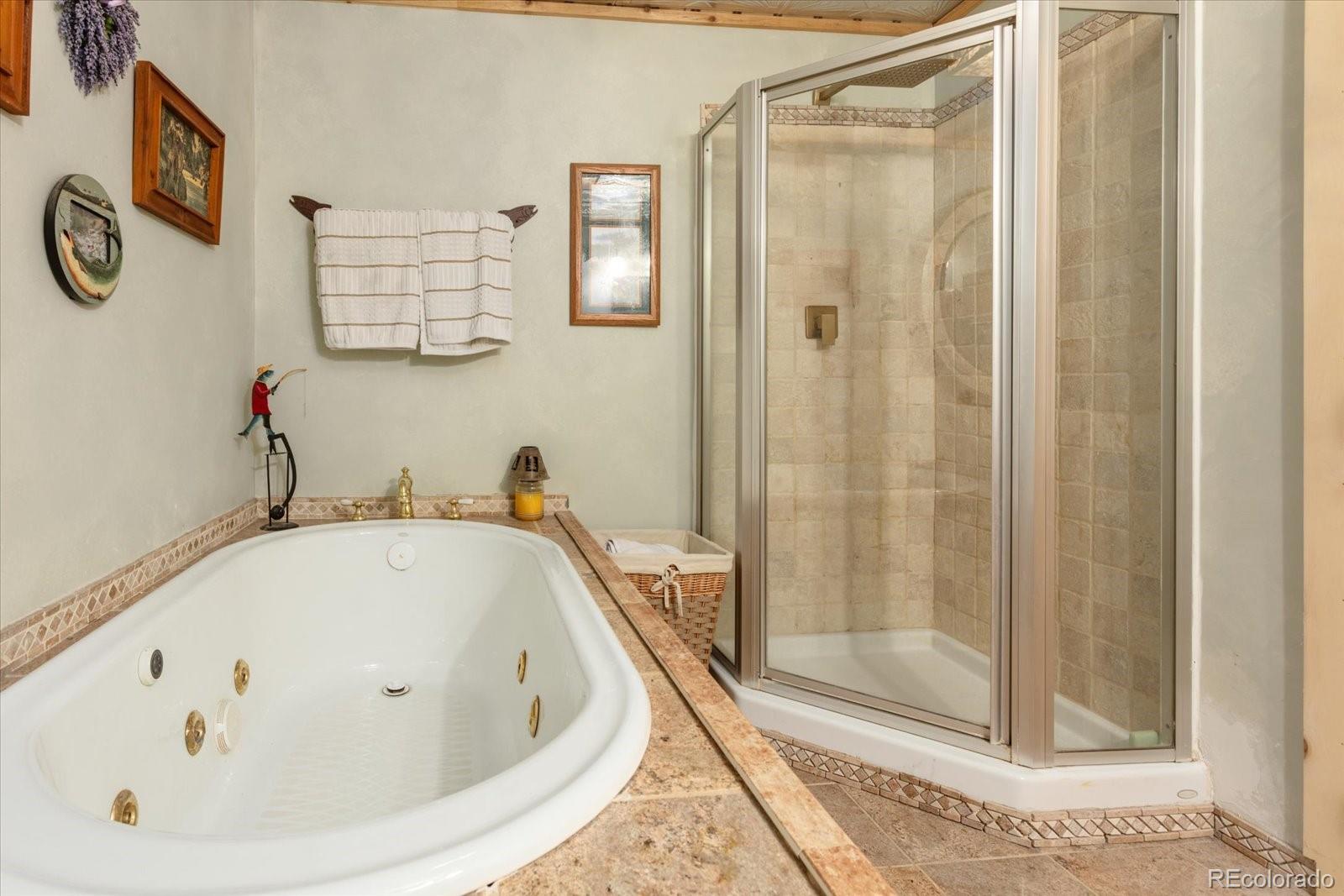 234 Bremer Road Howard, CO 81233 - Photo 24 of 50 a bathroom with a tub and shower