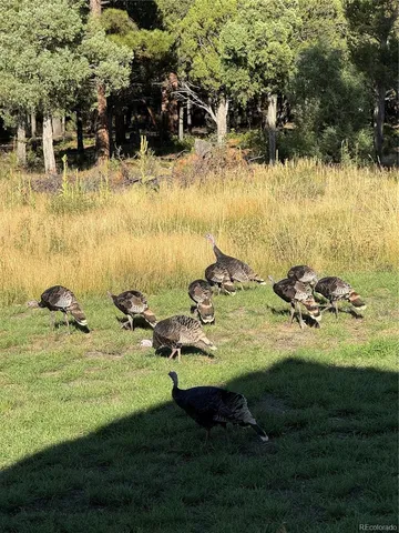 a view of an ocean and beach