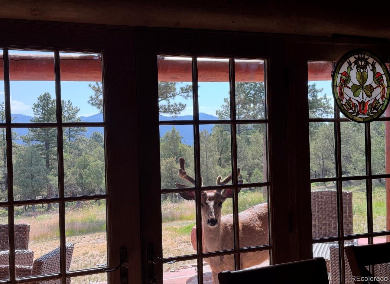 234 Bremer Road Howard, CO 81233 - Photo 49 of 50 a view of a room with windows and wooden floor