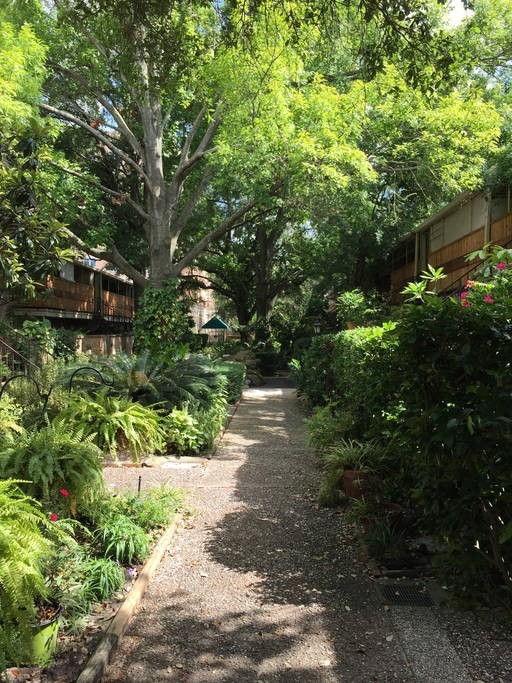 3942 West Alabama Street, Unit 5 Houston, TX 77027 - Photo 15 of 28 a view of a pathway both side of yard