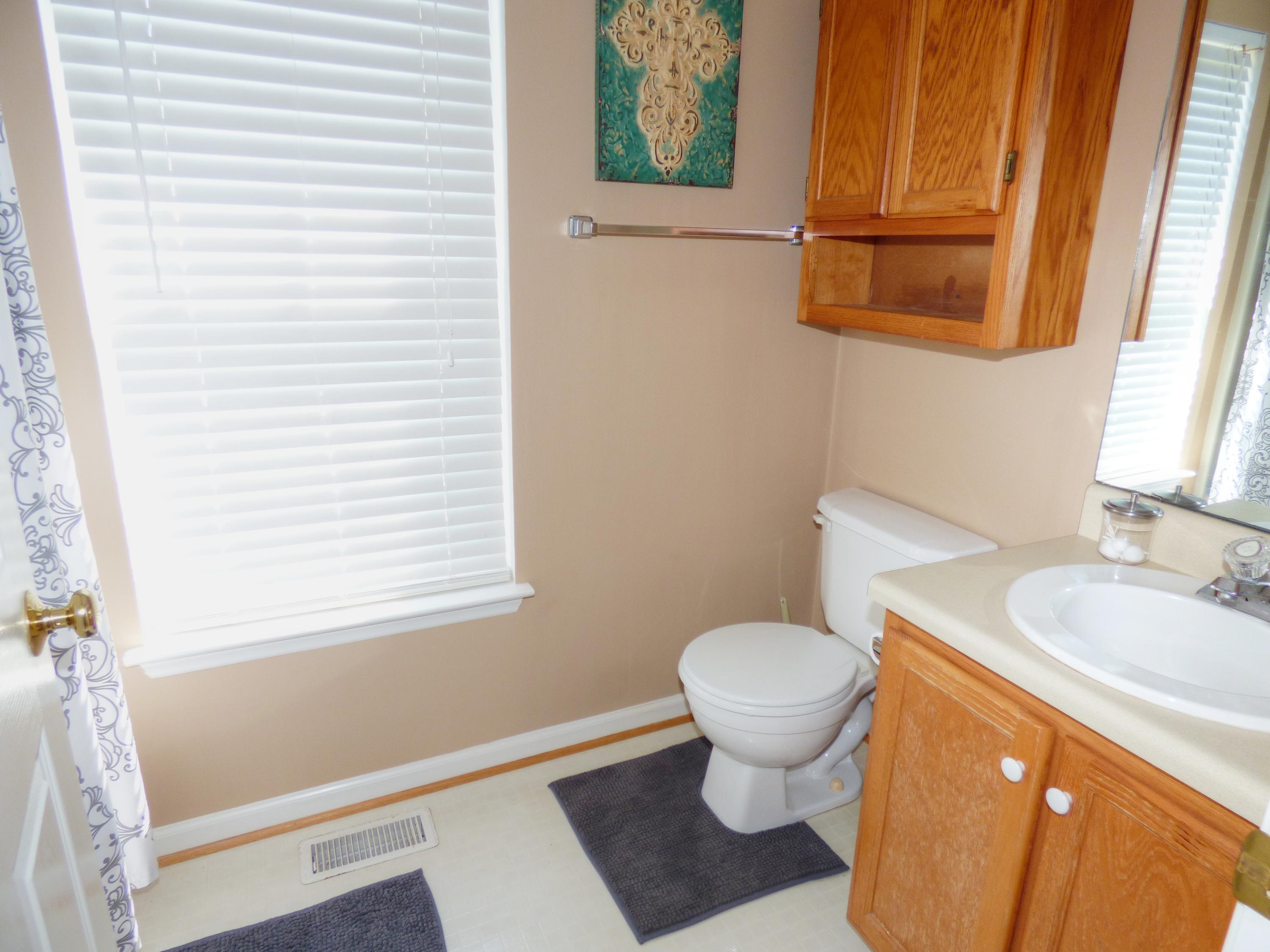 819 Ruddell Road Vinton, VA 24179 - Photo 15 of 22 a bathroom with a sink and a toilet