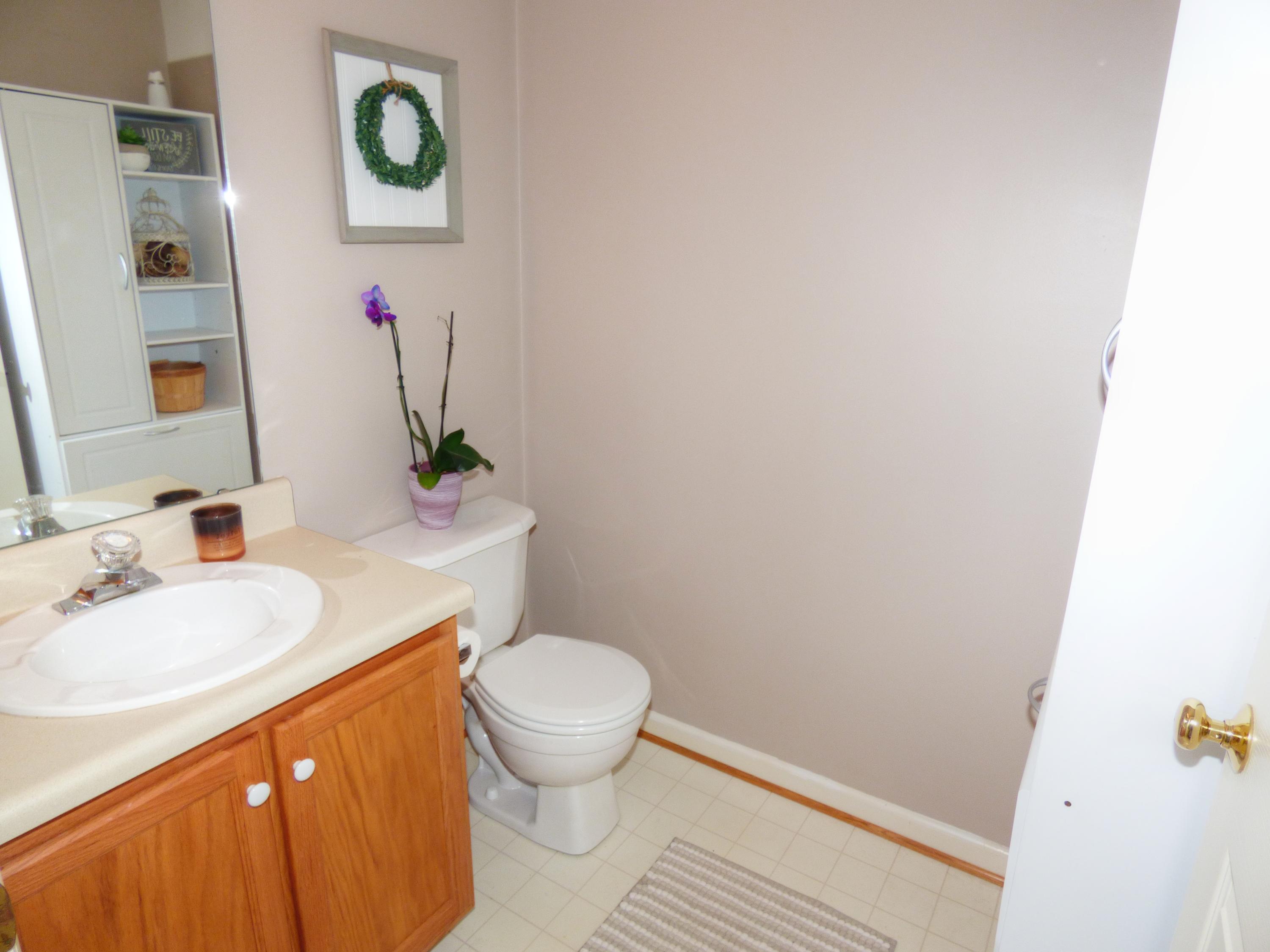 819 Ruddell Road Vinton, VA 24179 - Photo 22 of 22 a bathroom with a sink and a toilet