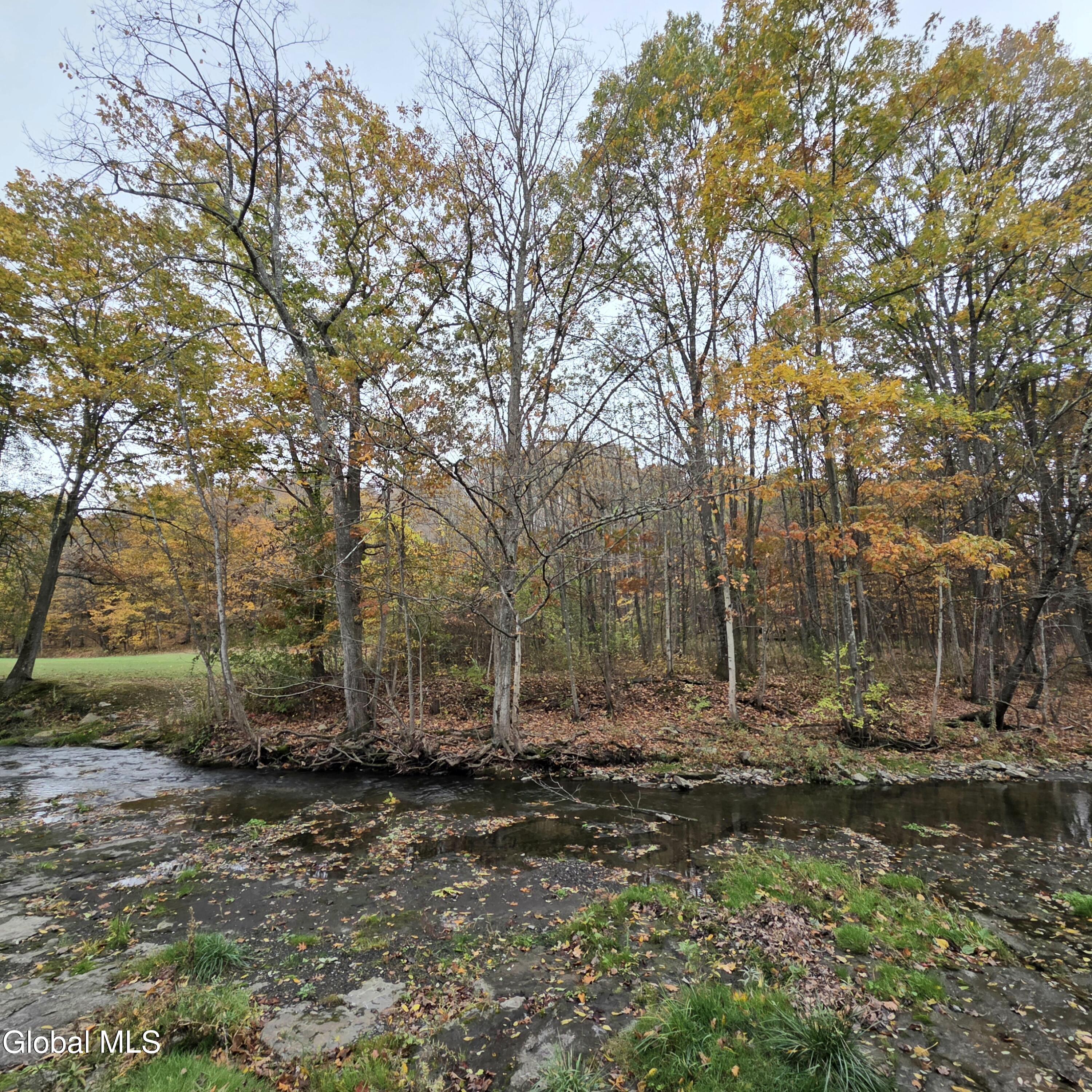 L53 Tarrytown Road Feura Bush, NY 12067 - Photo 12 of 13 20251024_110803