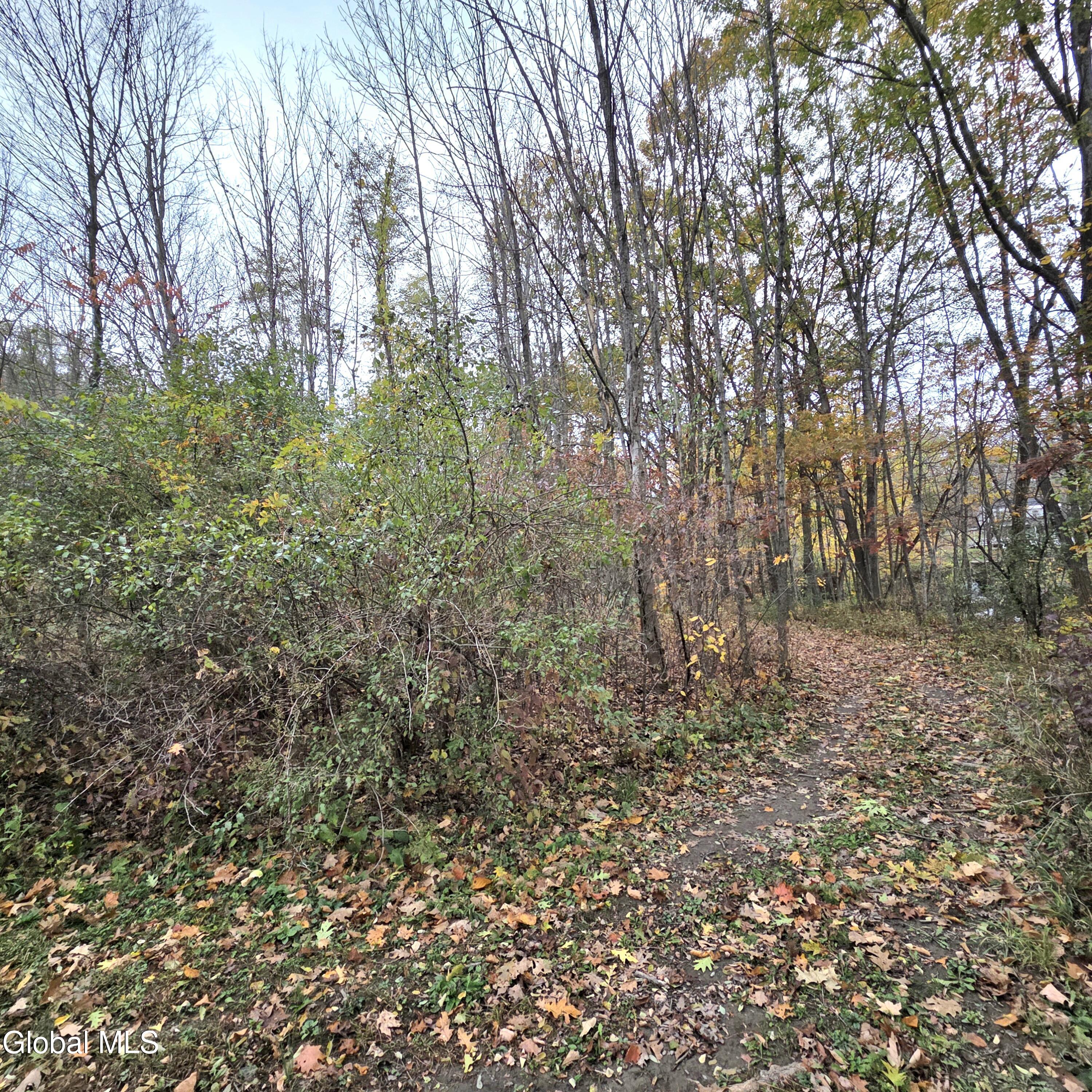 L53 Tarrytown Road Feura Bush, NY 12067 - Photo 6 of 13 20251024_111259