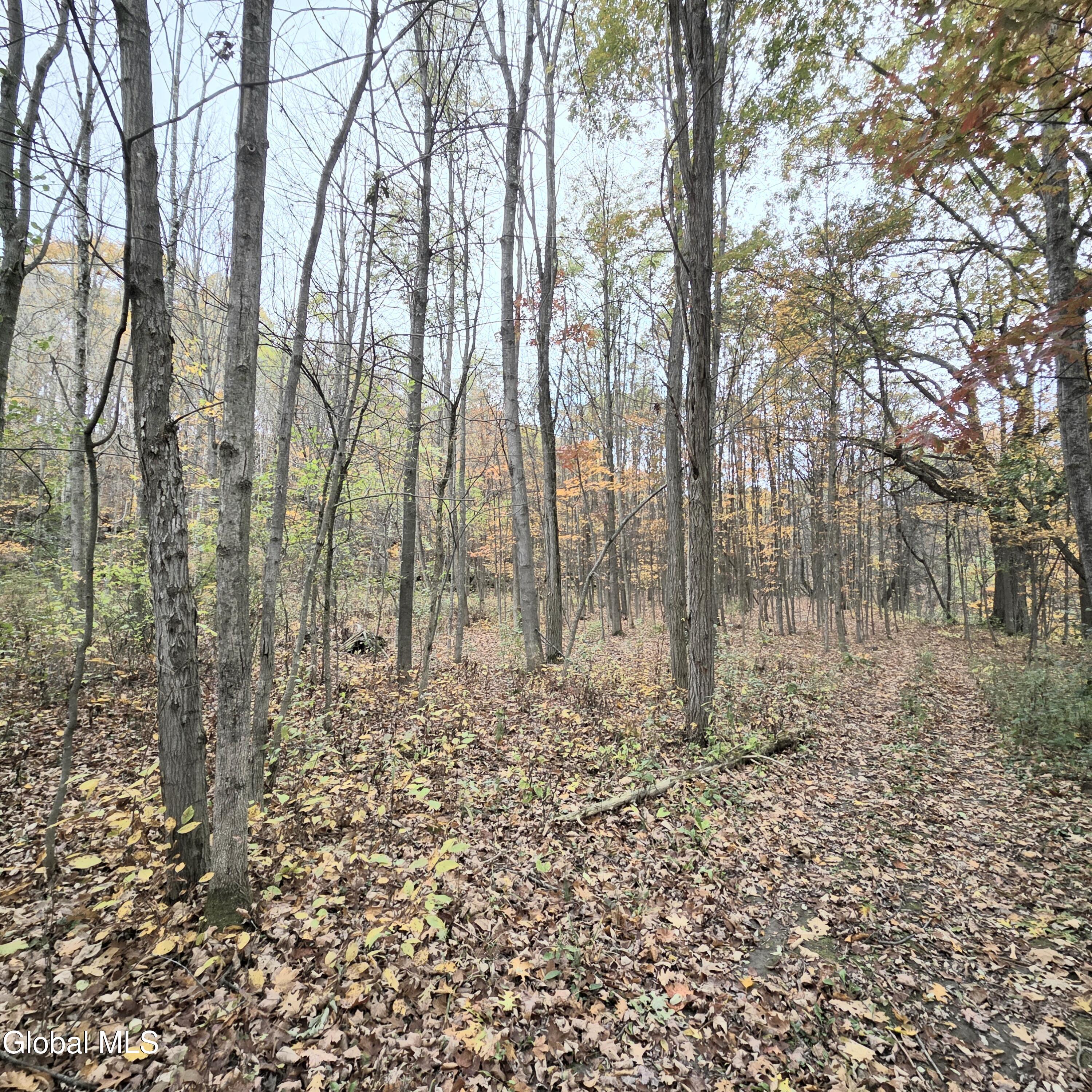 L53 Tarrytown Road Feura Bush, NY 12067 - Photo 7 of 13 20251024_111342