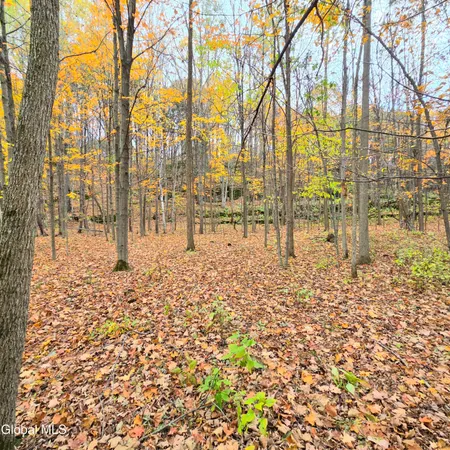 $19,000 | L53 Tarrytown Road, Feura Bush, NY 12067