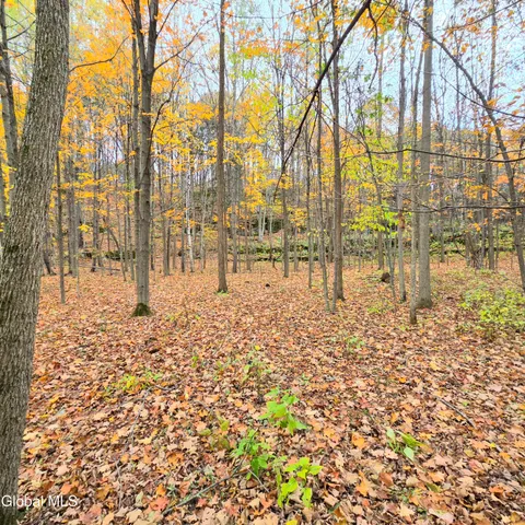 $19,000 | L53 Tarrytown Road, Feura Bush, NY 12067