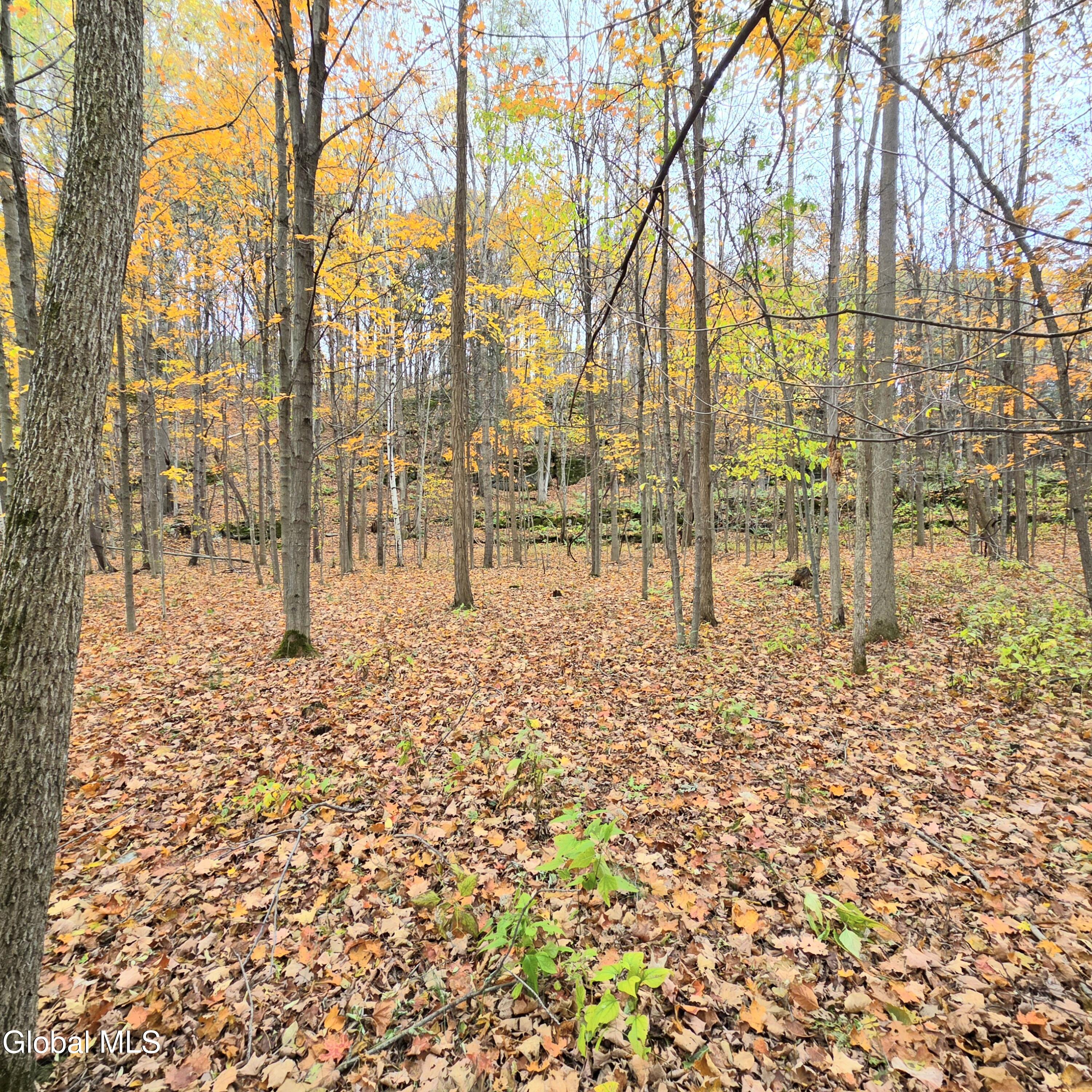 L53 Tarrytown Road Feura Bush, NY 12067 - Photo 8 of 13 20251024_111443