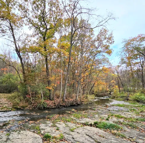 $19,000 | L53 Tarrytown Road, Feura Bush, NY 12067