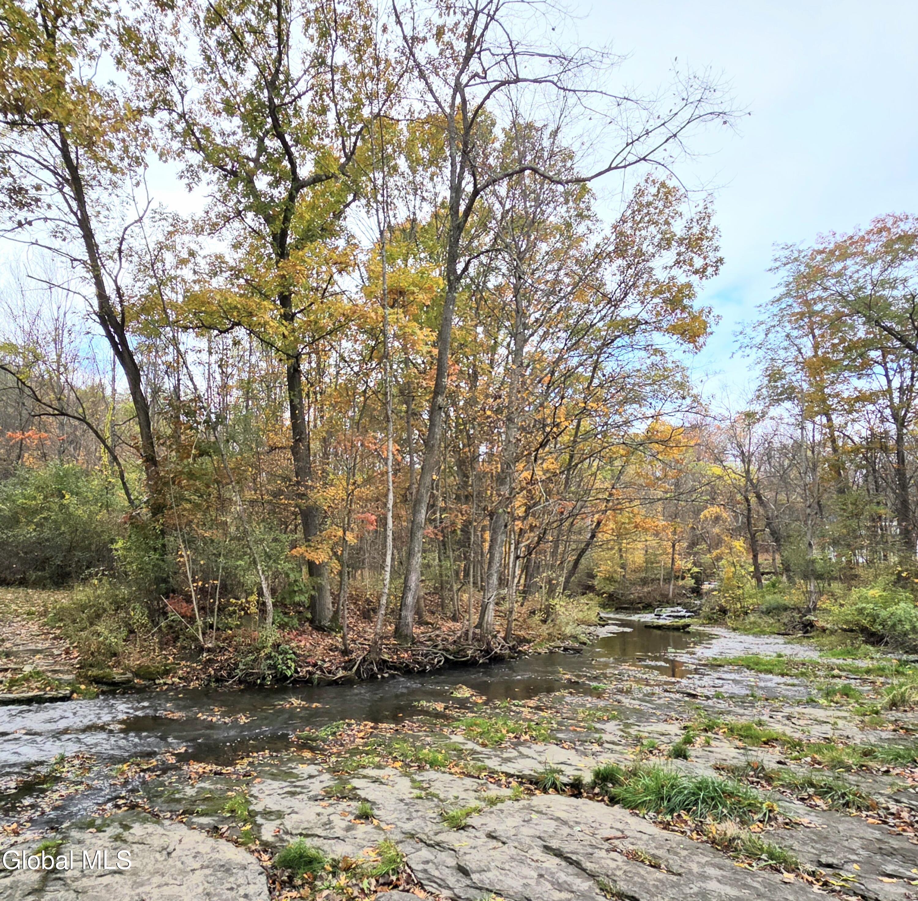 L53 Tarrytown Road Feura Bush, NY 12067 - Photo 10 of 13 20251024_111707