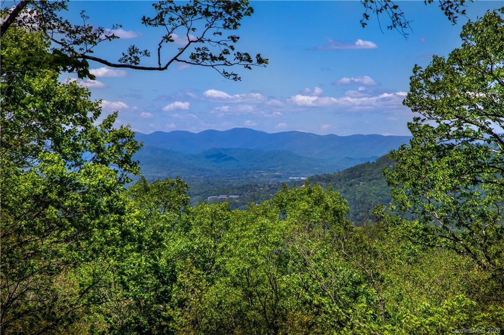 9999 Rice Branch Road Asheville, NC 28804 - Photo 1 of 43 Gallery Image 1