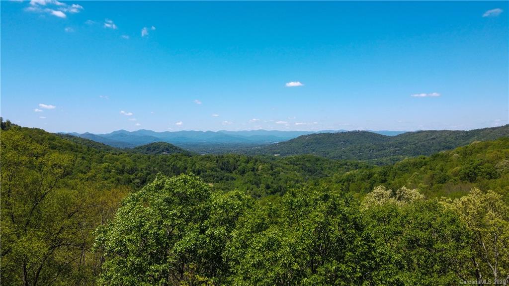 9999 Rice Branch Road Asheville, NC 28804 - Photo 2 of 43 Gallery Image 2