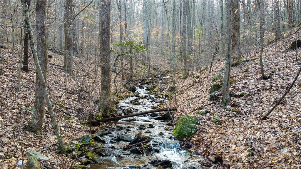 9999 Rice Branch Road Asheville, NC 28804 - Photo 11 of 43 Gallery Image 11