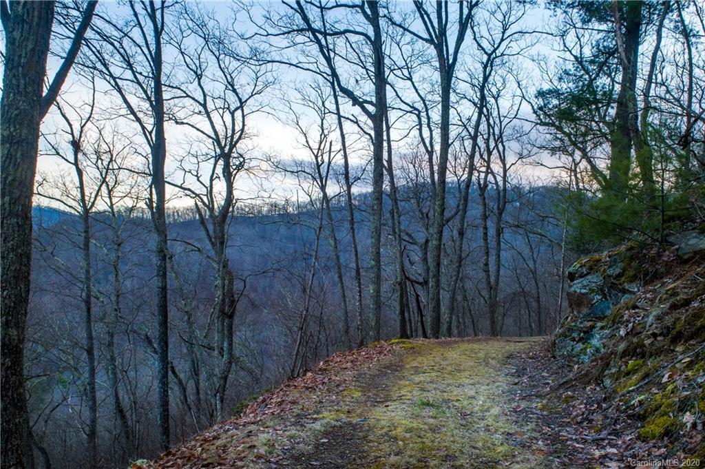 9999 Rice Branch Road Asheville, NC 28804 - Photo 12 of 43 Gallery Image 12