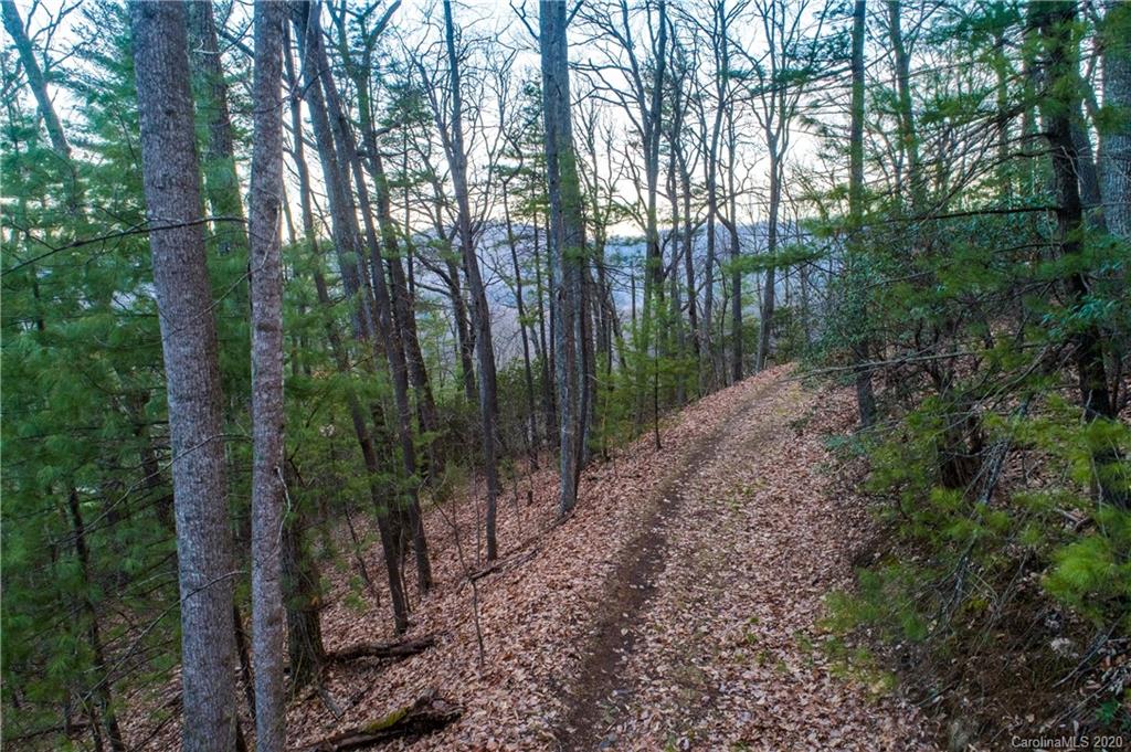 9999 Rice Branch Road Asheville, NC 28804 - Photo 13 of 43 Gallery Image 13