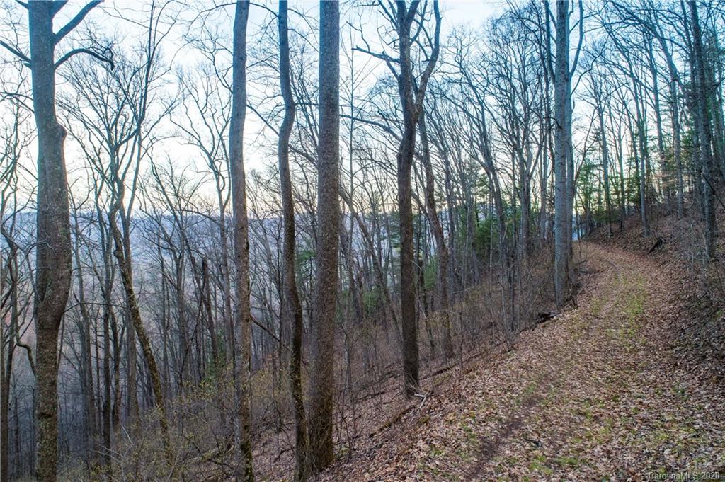 9999 Rice Branch Road Asheville, NC 28804 - Photo 14 of 43 Gallery Image 14