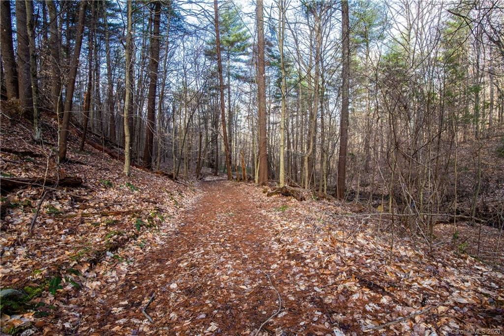 9999 Rice Branch Road Asheville, NC 28804 - Photo 15 of 43 Gallery Image 15