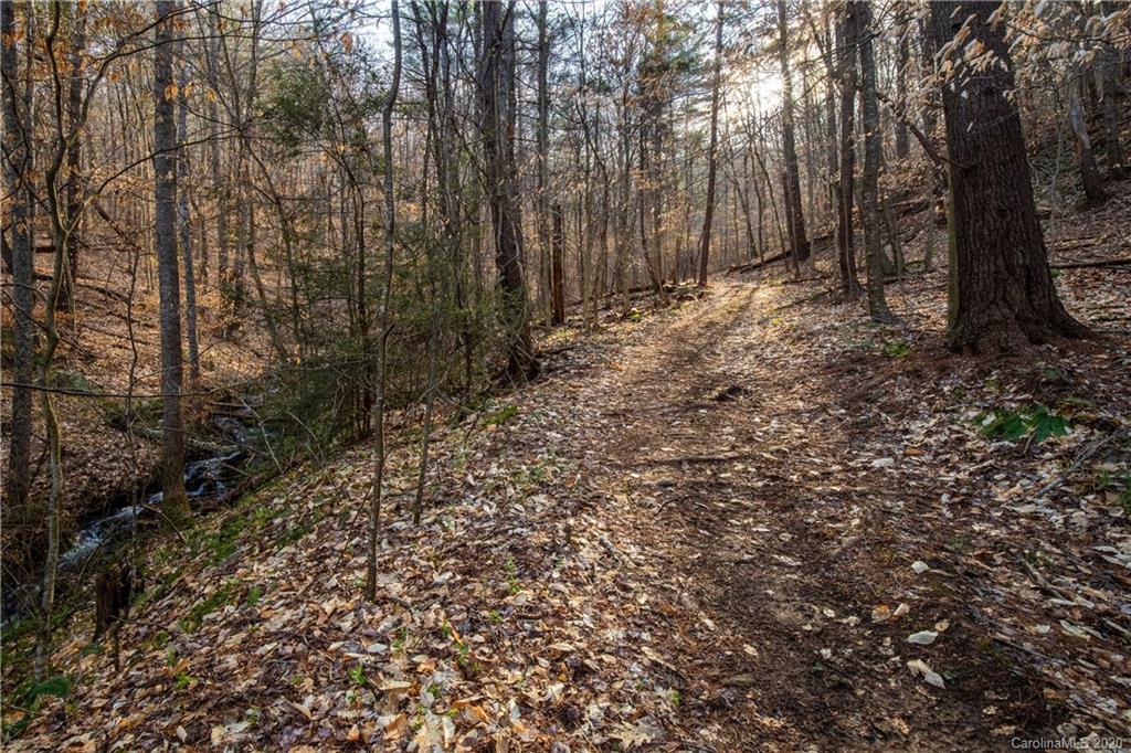 9999 Rice Branch Road Asheville, NC 28804 - Photo 16 of 43 Gallery Image 16