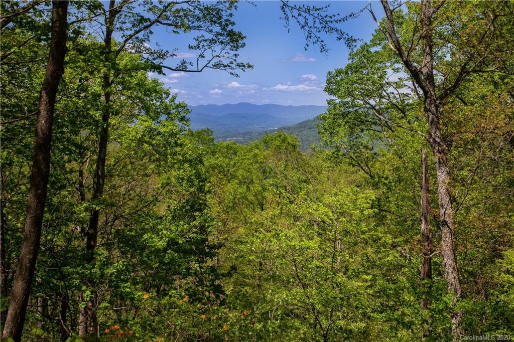 9999 Rice Branch Road Asheville, NC 28804 - Photo 18 of 43 Gallery Image 18