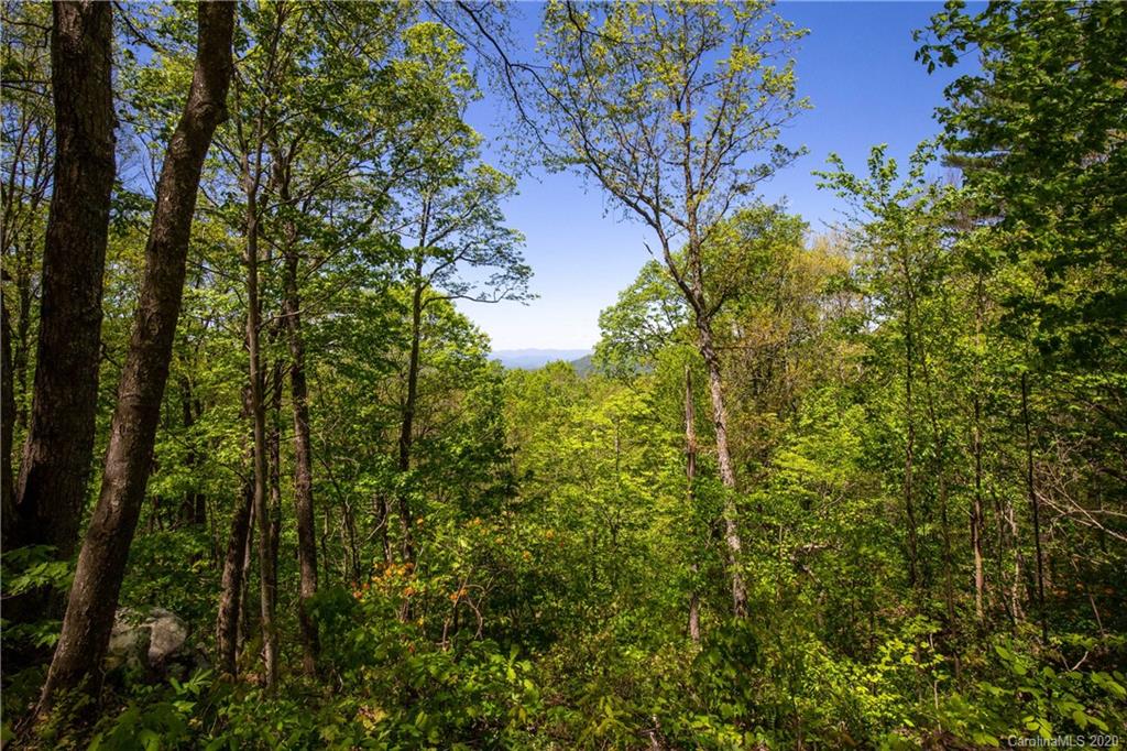 9999 Rice Branch Road Asheville, NC 28804 - Photo 20 of 43 Gallery Image 20